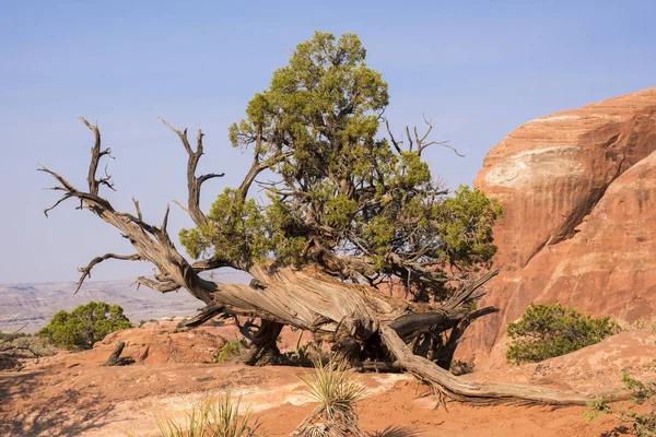 Paisaje Parque Nacional Arcos Los Estados Unidos América — Foto de Stock