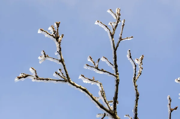 Isiga Natur Vintern Italien — Stockfoto