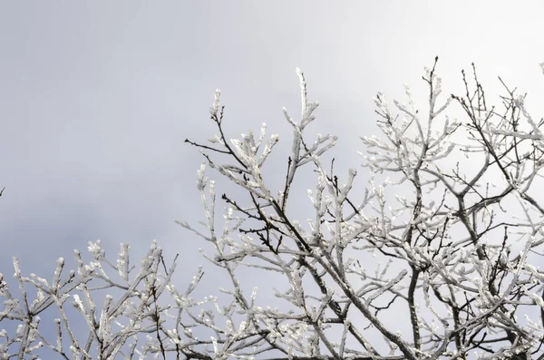 이탈리아의 겨울의 — 스톡 사진