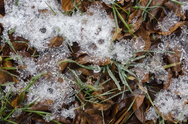 Isiga Natur Vintern Italien — Stockfoto