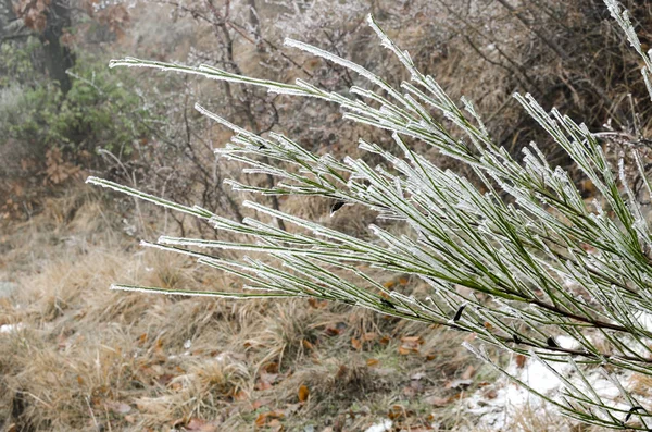 Eisige Natur Winter Italien — Stockfoto