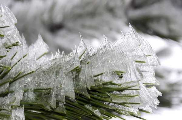 Eisige Natur Winter Italien — Stockfoto