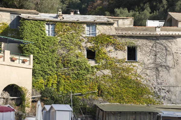 Landskap Hus Och Villor Ses Båttur Kusten Portofino Genua Italien — Stockfoto