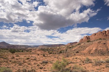 Amerika Birleşik Devletleri cin devlet parkta manzara