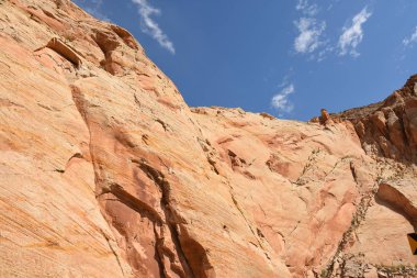 Amerika Birleşik Devletleri cin devlet parkta manzara