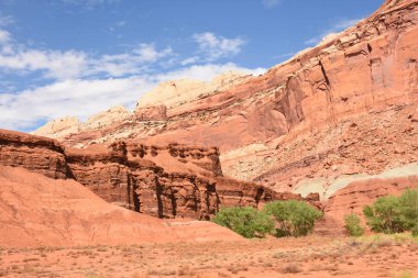 Amerika Birleşik Devletleri cin devlet parkta manzara