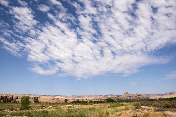 Landscape Goblin State Park United States America — Stock Photo, Image