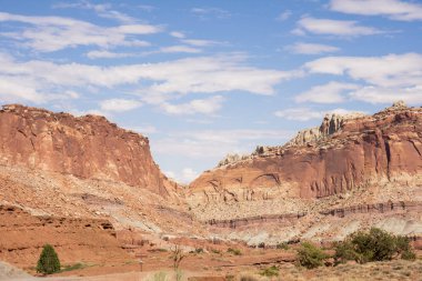 Amerika Birleşik Devletleri cin devlet parkta manzara