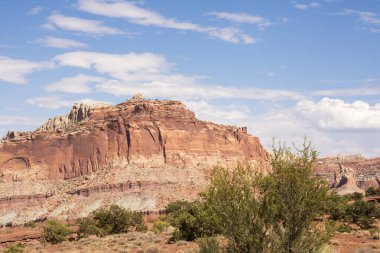 Amerika Birleşik Devletleri cin devlet parkta manzara