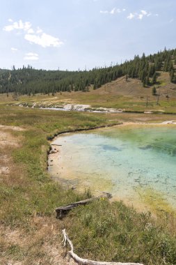 Wyoming Yellowstone Milli Parkı norris gayzer havzası porselen