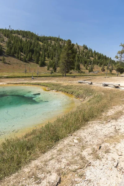 Porcelana Cuenca Del Géiser Norris Parque Nacional Yellowstone Wyoming — Foto de Stock