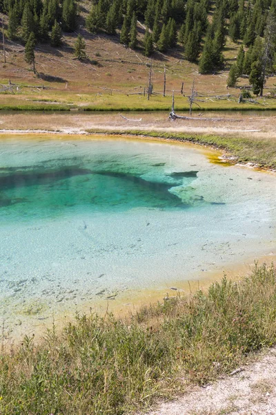 Porcellana Norris Geyser Nel Parco Nazionale Yellowstone Nel Wyoming — Foto Stock