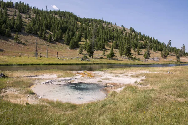 Porcelana Cuenca Del Géiser Norris Parque Nacional Yellowstone Wyoming — Foto de Stock