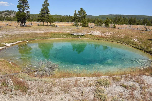 Porcelana Cuenca Del Géiser Norris Parque Nacional Yellowstone Wyoming — Foto de Stock