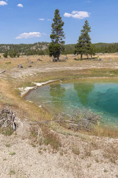 Porcelana Cuenca Del Géiser Norris Parque Nacional Yellowstone Wyoming — Foto de Stock