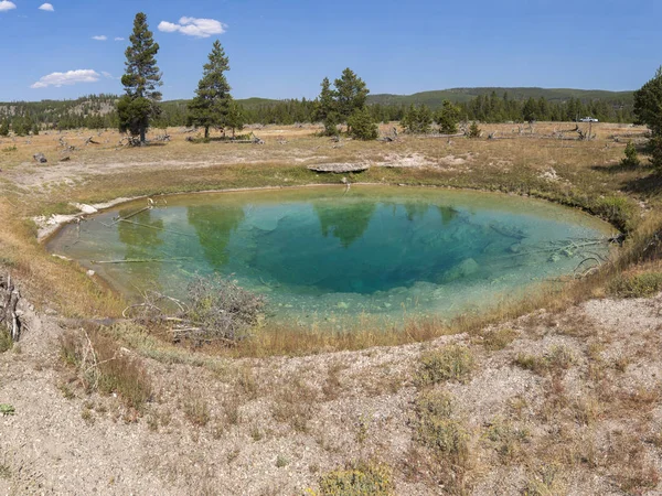 Porcelana Cuenca Del Géiser Norris Parque Nacional Yellowstone Wyoming — Foto de Stock