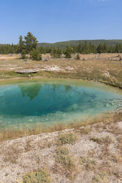 Porcelana Cuenca Del Géiser Norris Parque Nacional Yellowstone Wyoming — Foto de Stock