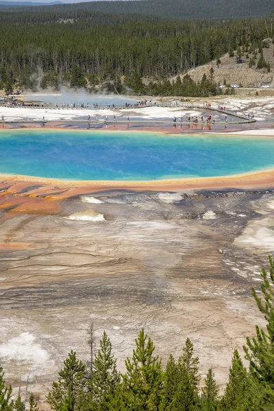 Géiser Gran Cuenca Prismática Primavera Parque Nacional Yellowstone Wyoming — Foto de Stock