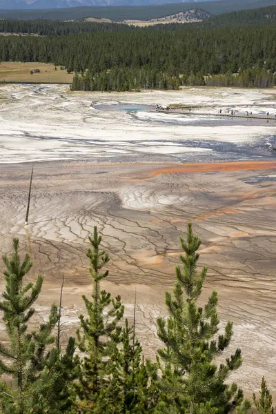 Géiser Gran Cuenca Prismática Primavera Parque Nacional Yellowstone Wyoming — Foto de Stock