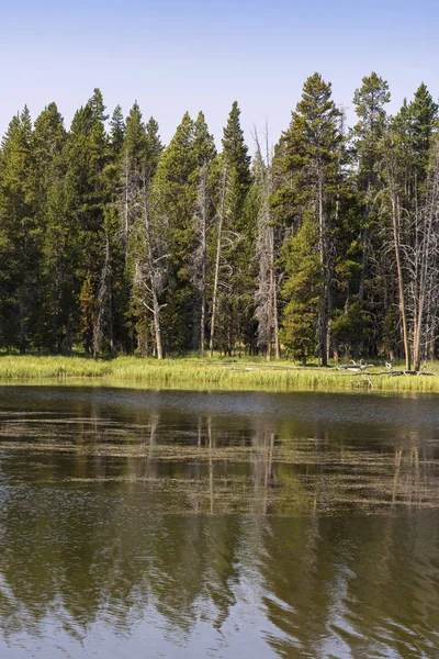 在美国怀俄明州的黄石国家公园黄石湖 — 图库照片