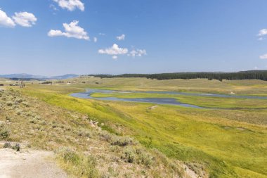 Wyoming yaz aylarında Yellowstone Milli Parkı Lamar Vadisi'nde narure manzara