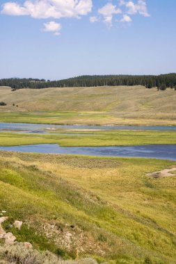 Wyoming yaz aylarında Yellowstone Milli Parkı Lamar Vadisi'nde narure manzara