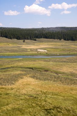 Wyoming yaz aylarında Yellowstone Milli Parkı Lamar Vadisi'nde narure manzara
