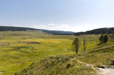 Wyoming yaz aylarında Yellowstone Milli Parkı Lamar Vadisi'nde narure manzara