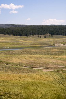 Wyoming yaz aylarında Yellowstone Milli Parkı Lamar Vadisi'nde narure manzara
