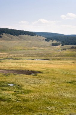 Wyoming yaz aylarında Yellowstone Milli Parkı Lamar Vadisi'nde narure manzara