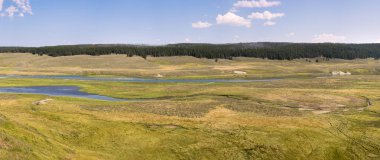Wyoming yaz aylarında Yellowstone Milli Parkı Lamar Vadisi'nde narure manzara
