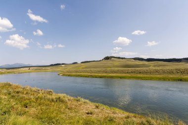Wyoming yaz aylarında Yellowstone Milli Parkı Lamar Vadisi'nde narure manzara