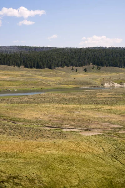 Narure Landschaft Lamar Valley Yellowstone Nationalpark Sommer Wyoming — Stockfoto