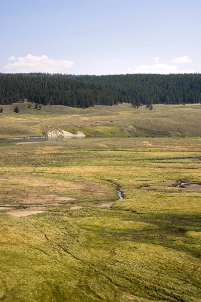 Narure Paisagem Lamar Valley Parque Nacional Yellowstone Verão Wyoming — Fotografia de Stock