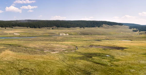 Wyoming Yaz Aylarında Yellowstone Milli Parkı Lamar Vadisi Nde Narure — Stok fotoğraf