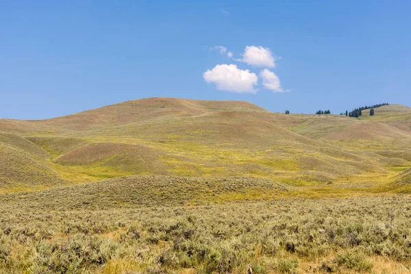 Paisaje Narure Valle Lamar Parque Nacional Yellowstone Verano Wyoming — Foto de Stock