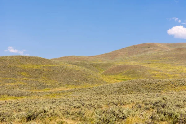 Narure Landschaft Lamar Valley Yellowstone Nationalpark Sommer Wyoming — Stockfoto