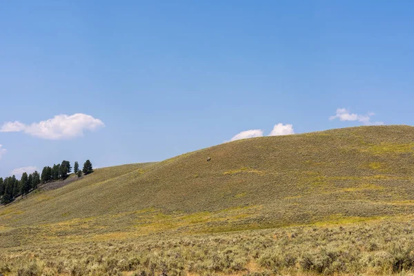 Paisaje Narure Valle Lamar Parque Nacional Yellowstone Verano Wyoming — Foto de Stock