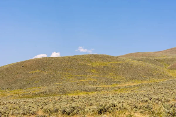 Paisaje Narure Valle Lamar Parque Nacional Yellowstone Verano Wyoming — Foto de Stock