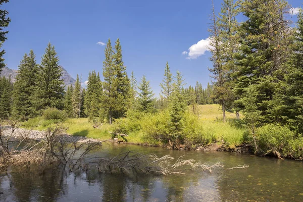 Paisaje Narure Valle Lamar Parque Nacional Yellowstone Verano Wyoming — Foto de Stock