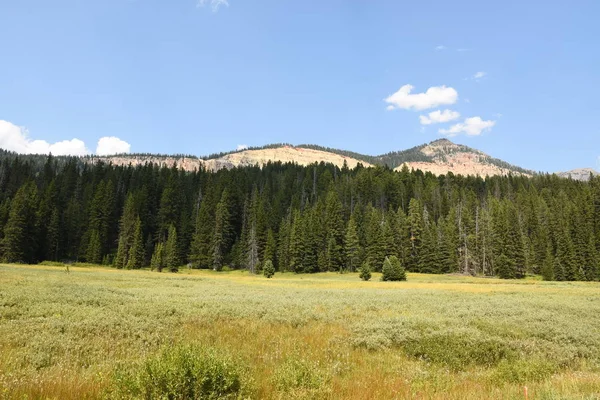 Wyoming Yellowstone Milli Parkı Lamar Vadisi Nde Alabalık Gölü Nde — Stok fotoğraf