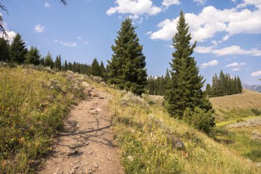 Wyoming Yellowstone Milli Parkı Lamar Vadisi'nde Alabalık Gölü'nde manzara ve ağaçlar 