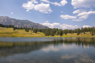 Wyoming Yellowstone Milli Parkı Lamar Vadisi'nde Alabalık Gölü'nde manzara ve ağaçlar 
