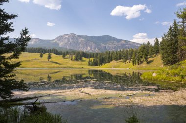 Wyoming Yellowstone Milli Parkı Lamar Vadisi'nde Alabalık Gölü'nde manzara ve ağaçlar 