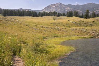 Wyoming Yellowstone Milli Parkı Lamar Vadisi'nde Alabalık Gölü'nde manzara ve ağaçlar 