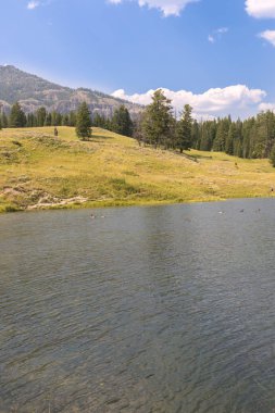 Wyoming Yellowstone Milli Parkı Lamar Vadisi'nde Alabalık Gölü'nde manzara ve ağaçlar 