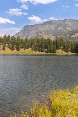 Wyoming Yellowstone Milli Parkı Lamar Vadisi'nde Alabalık Gölü'nde manzara ve ağaçlar 