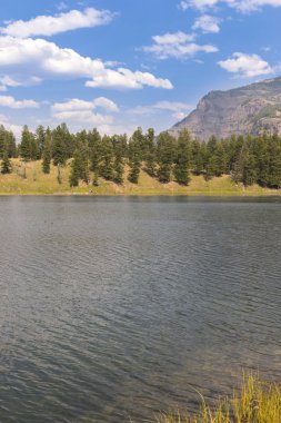 Wyoming Yellowstone Milli Parkı Lamar Vadisi'nde Alabalık Gölü'nde manzara ve ağaçlar 