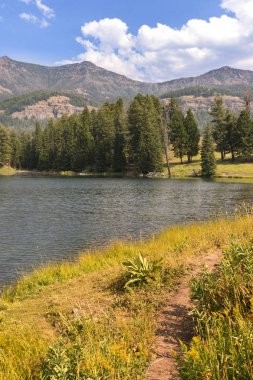 Wyoming Yellowstone Milli Parkı Lamar Vadisi'nde Alabalık Gölü'nde manzara ve ağaçlar 