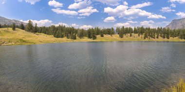 Wyoming Yellowstone Milli Parkı Lamar Vadisi'nde Alabalık Gölü'nde manzara ve ağaçlar 